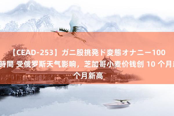 【CEAD-253】ガニ股挑発ド変態オナニー100人8時間 受俄罗斯天气影响，芝加哥小麦价钱创 10 个月新高