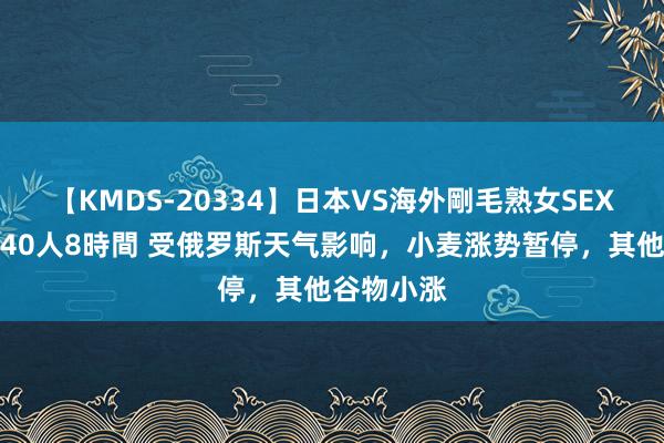 【KMDS-20334】日本VS海外剛毛熟女SEX対決！！40人8時間 受俄罗斯天气影响，小麦涨势暂停，其他谷物小涨