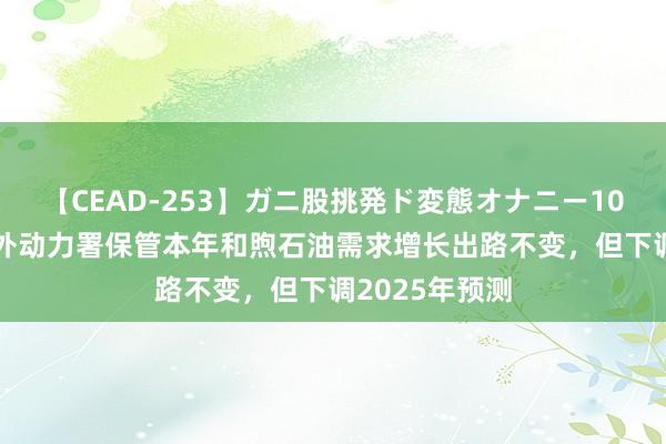 【CEAD-253】ガニ股挑発ド変態オナニー100人8時間 海外动力署保管本年和煦石油需求增长出路不变，但下调2025年预测