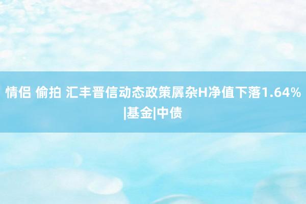 情侣 偷拍 汇丰晋信动态政策羼杂H净值下落1.64%|基金|中债