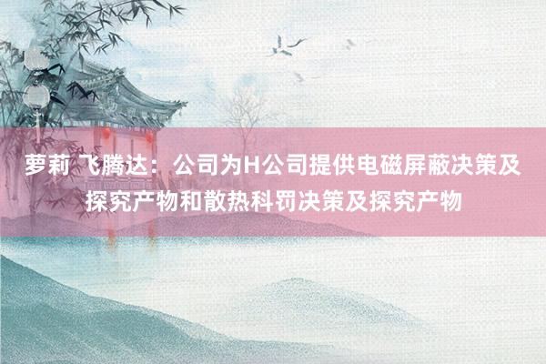 萝莉 飞腾达：公司为H公司提供电磁屏蔽决策及探究产物和散热科罚决策及探究产物