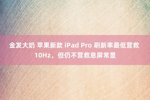 金发大奶 苹果新款 iPad Pro 刷新率最低营救 10Hz，但仍不营救息屏常显